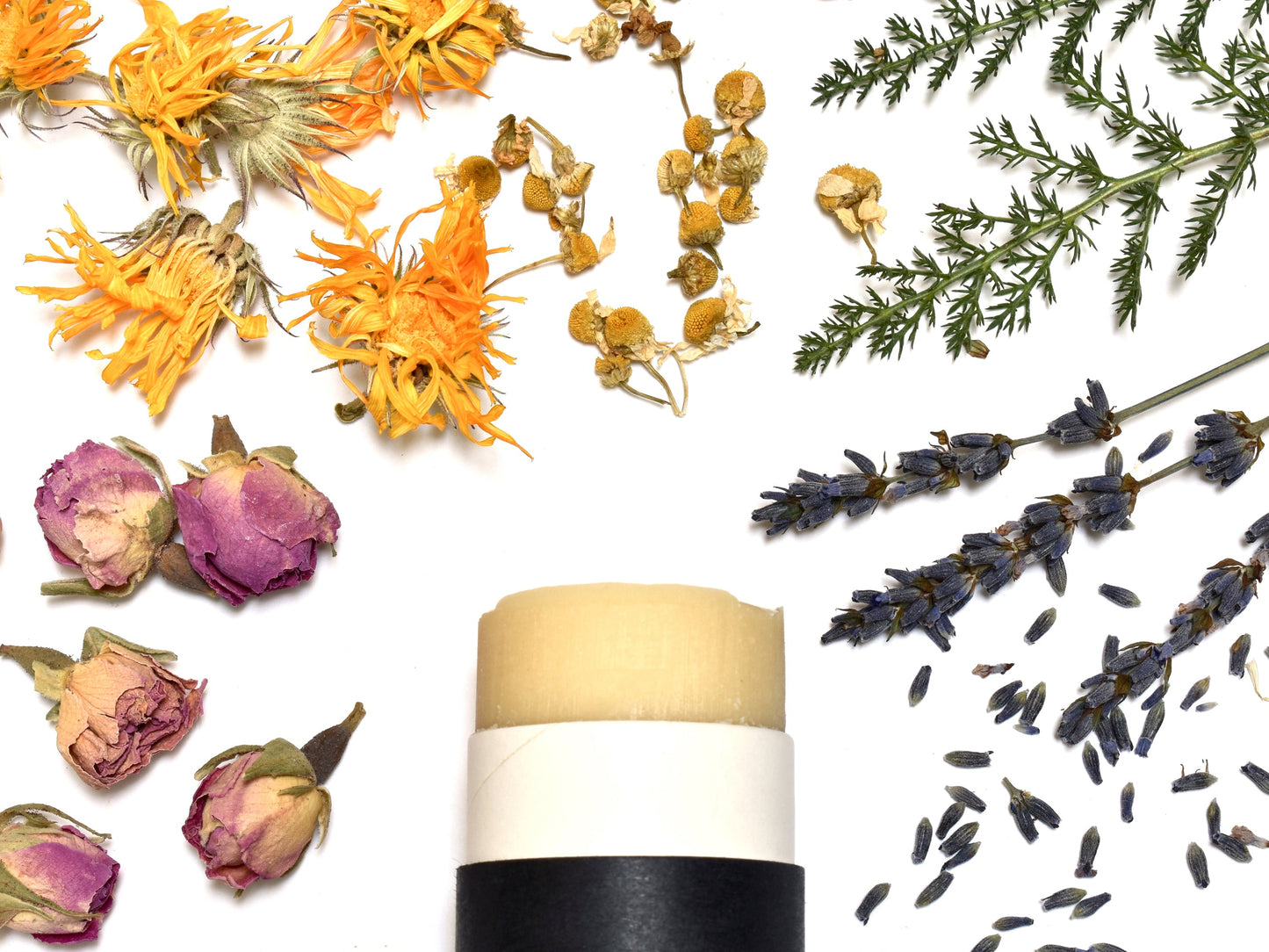 Wild Man - Botanical Deodorant