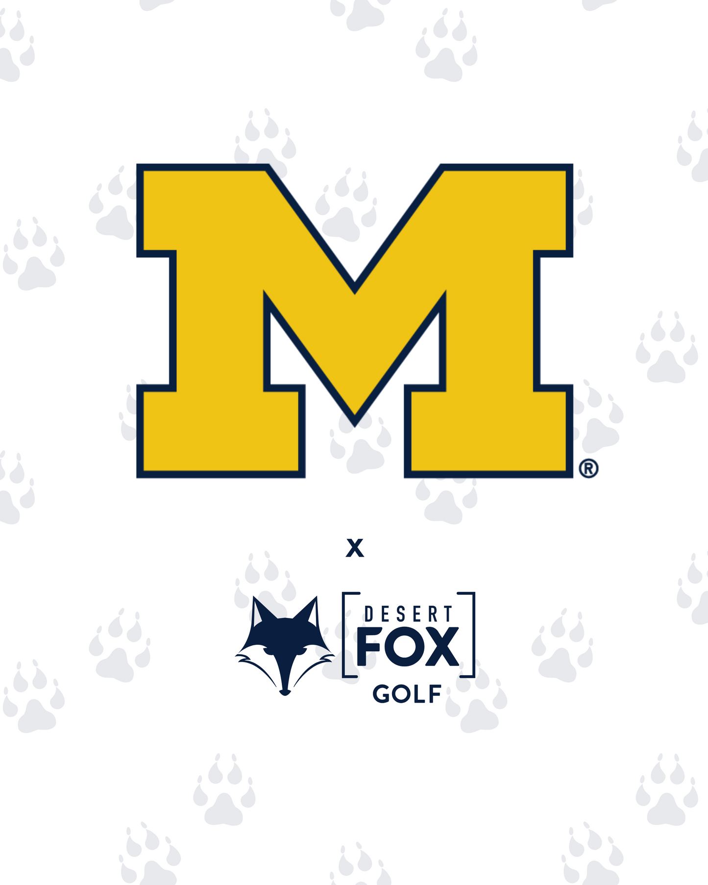 NCAA - Michigan